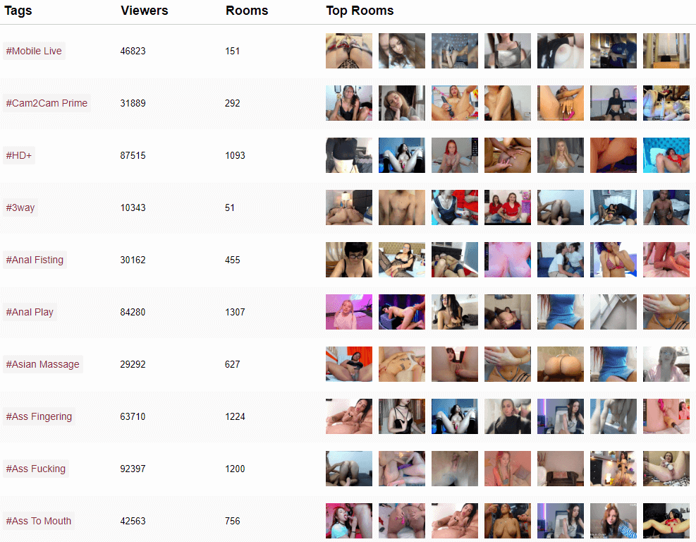 "What We Do On Webcam" - Hashtags Defined by the Models