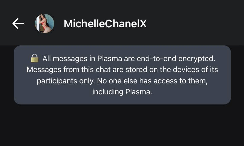 Encrypted conversion with a model in the third-party sex app companion - Plasma Messenger