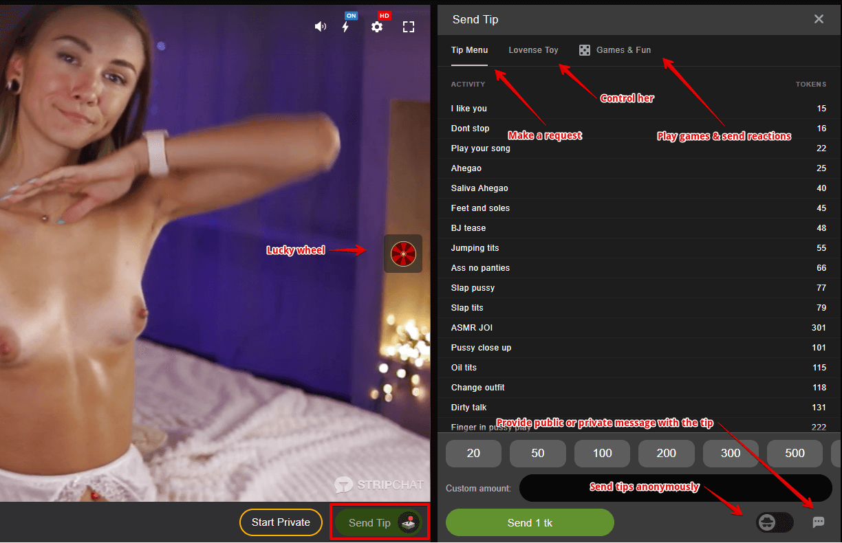 Interactive elements in the model's chat room (Tip Menu, Lovense, Games & Fun)