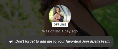 Offline status: A message from the model inviting visitors to add her to the followers list
